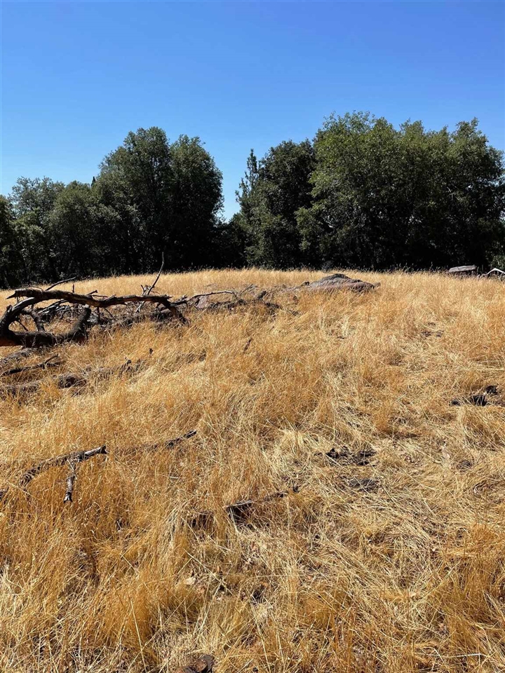 Detail Gallery Image 15 of 44 For 00000 Forrest Rd 1n19, Tuolumne,  CA 95379 - – Beds | – Baths
