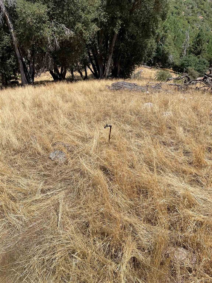 Detail Gallery Image 17 of 44 For 00000 Forrest Rd 1n19, Tuolumne,  CA 95379 - – Beds | – Baths