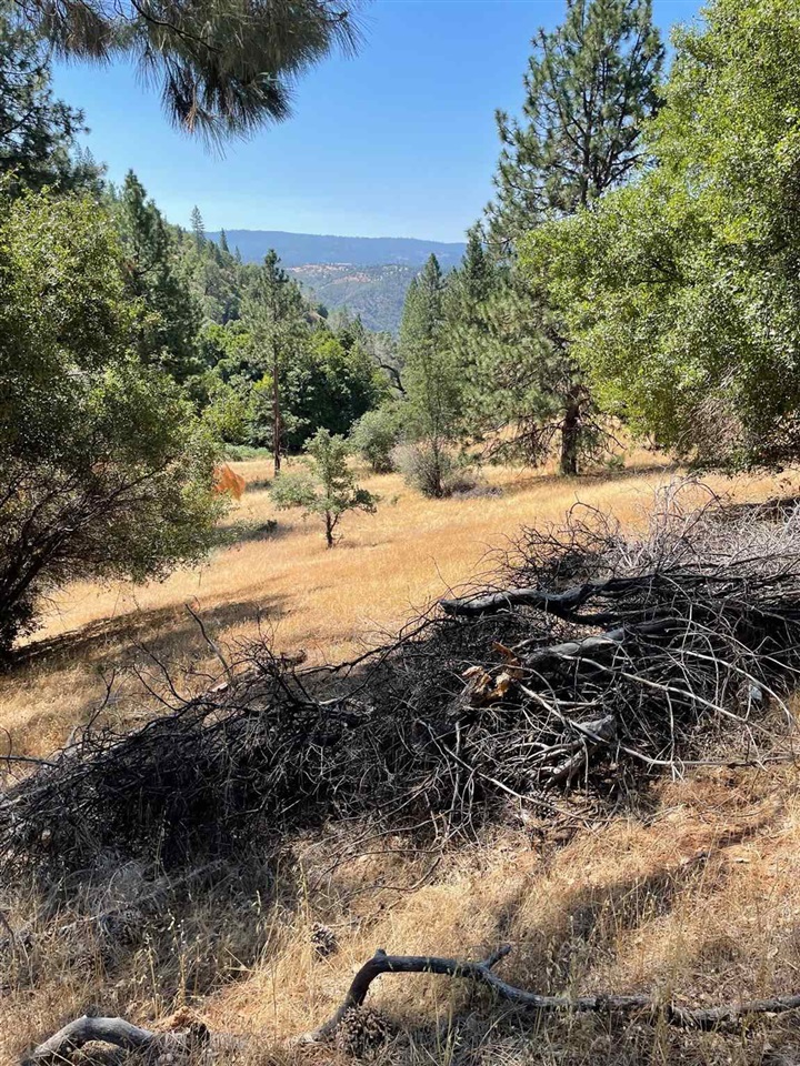 Detail Gallery Image 18 of 44 For 00000 Forrest Rd 1n19, Tuolumne,  CA 95379 - – Beds | – Baths