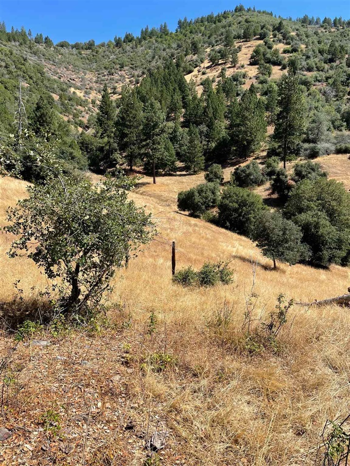 Detail Gallery Image 19 of 44 For 00000 Forrest Rd 1n19, Tuolumne,  CA 95379 - – Beds | – Baths