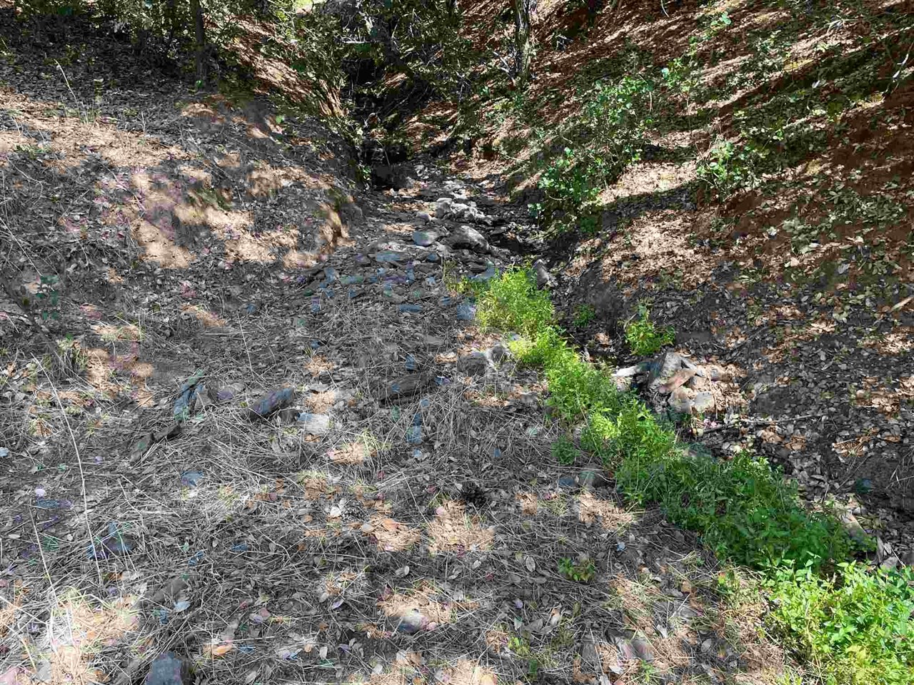 Detail Gallery Image 20 of 44 For 00000 Forrest Rd 1n19, Tuolumne,  CA 95379 - – Beds | – Baths