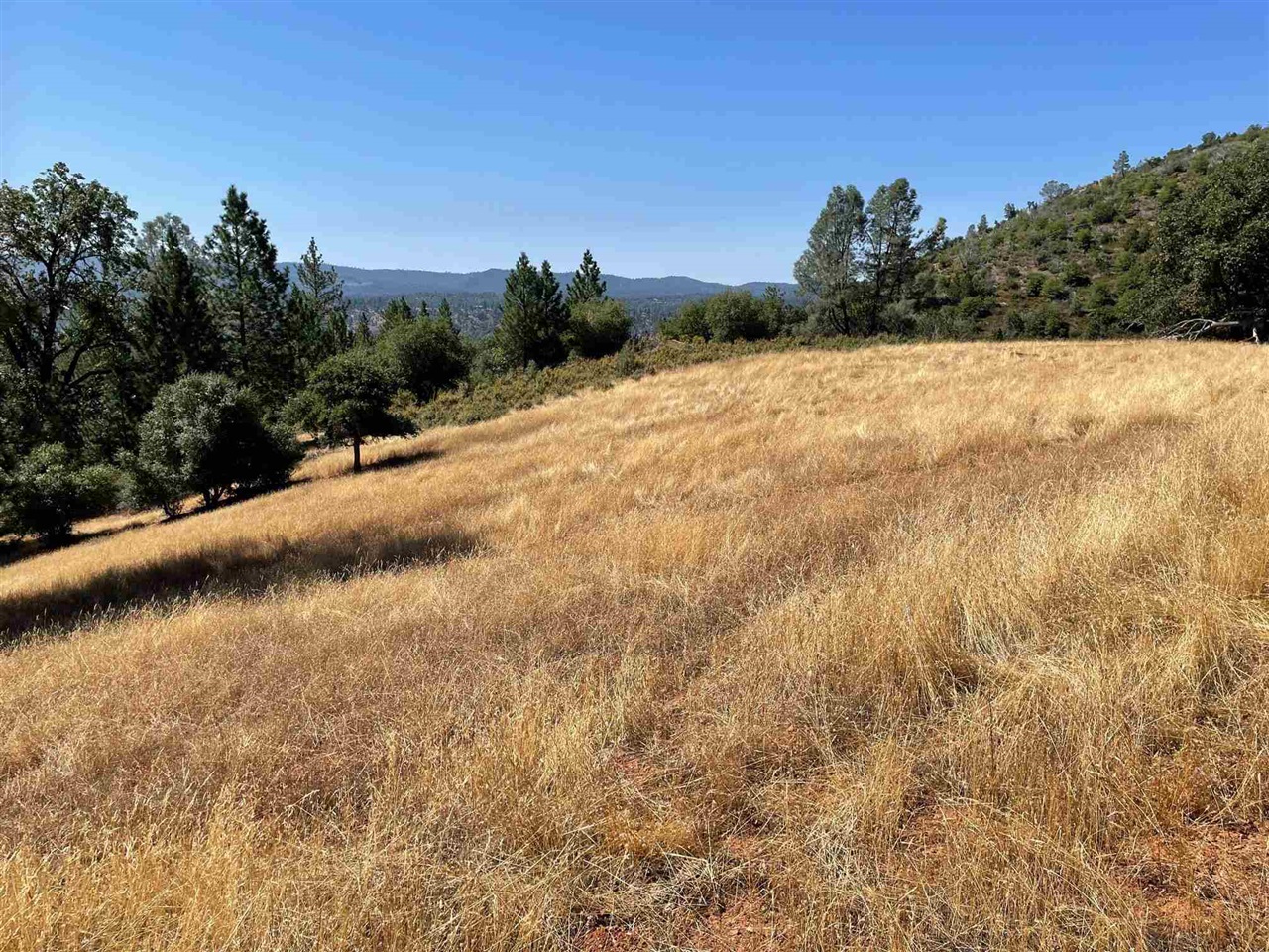 Detail Gallery Image 3 of 44 For 00000 Forrest Rd 1n19, Tuolumne,  CA 95379 - – Beds | – Baths