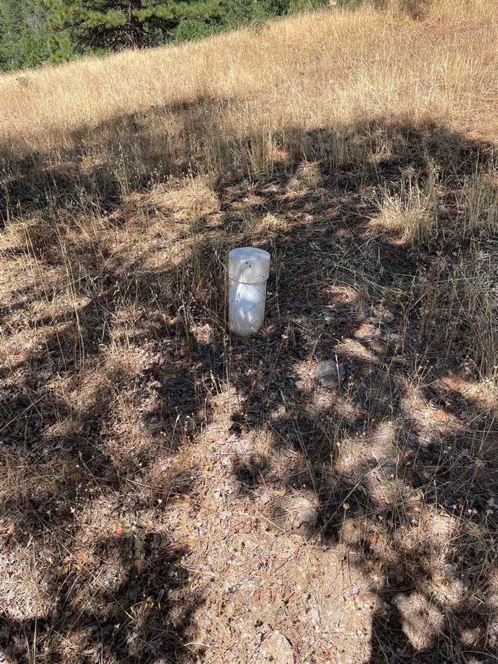 Detail Gallery Image 21 of 44 For 00000 Forrest Rd 1n19, Tuolumne,  CA 95379 - – Beds | – Baths
