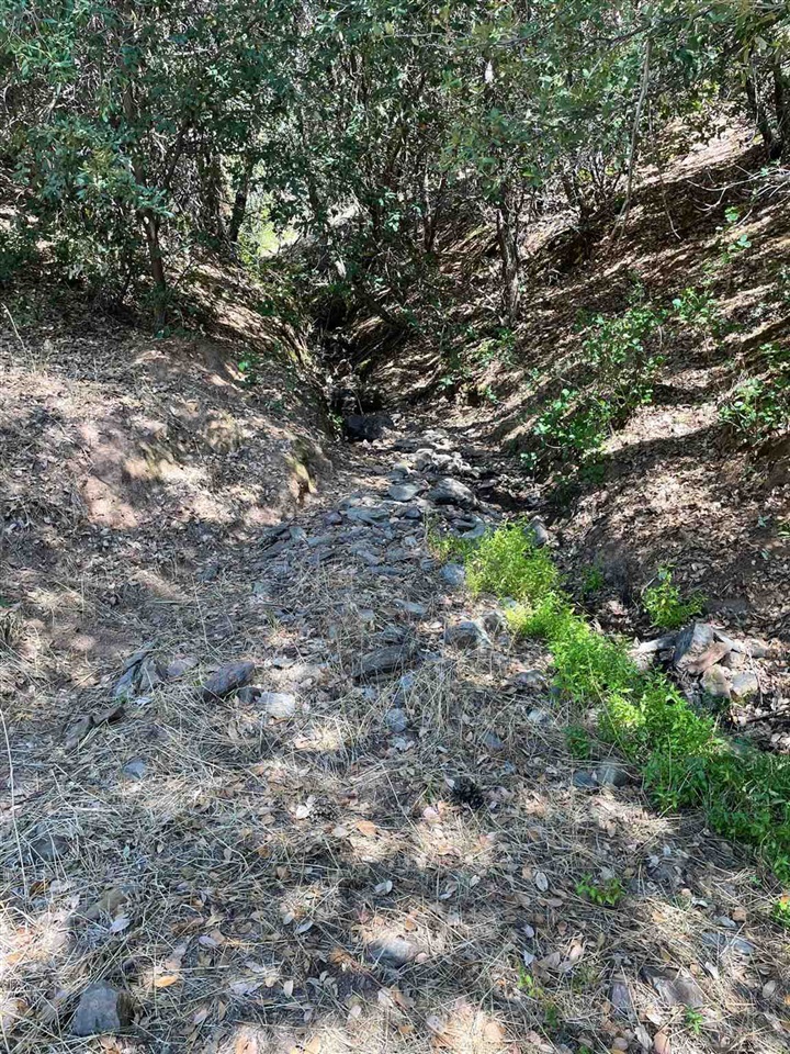 Detail Gallery Image 22 of 44 For 00000 Forrest Rd 1n19, Tuolumne,  CA 95379 - – Beds | – Baths