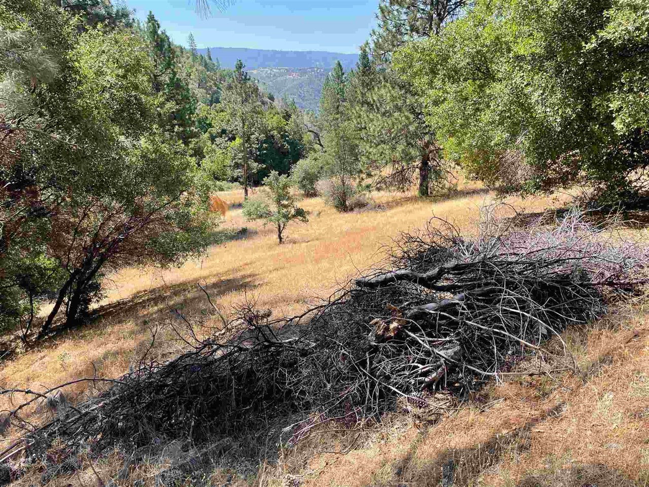 Detail Gallery Image 23 of 44 For 00000 Forrest Rd 1n19, Tuolumne,  CA 95379 - – Beds | – Baths