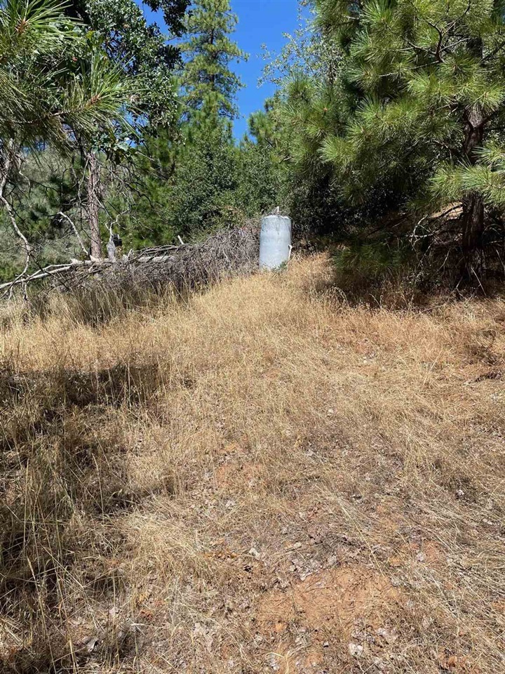 Detail Gallery Image 26 of 44 For 00000 Forrest Rd 1n19, Tuolumne,  CA 95379 - – Beds | – Baths
