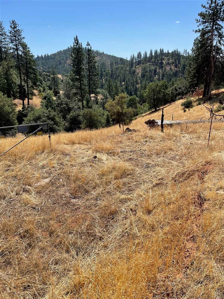 Detail Gallery Image 27 of 44 For 00000 Forrest Rd 1n19, Tuolumne,  CA 95379 - – Beds | – Baths