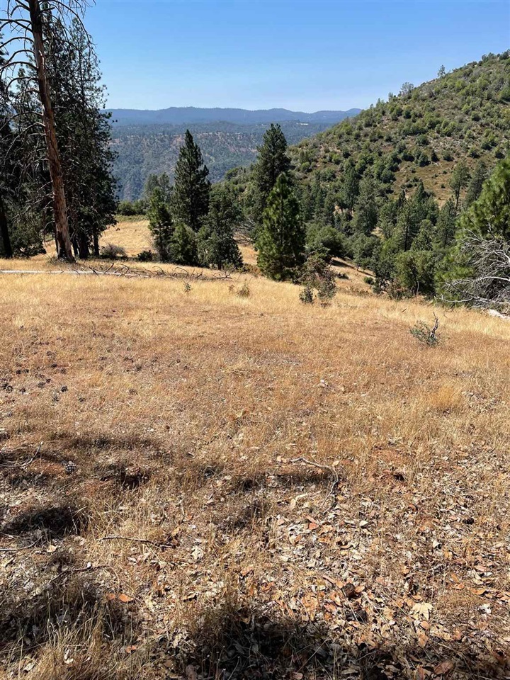 Detail Gallery Image 28 of 44 For 00000 Forrest Rd 1n19, Tuolumne,  CA 95379 - – Beds | – Baths