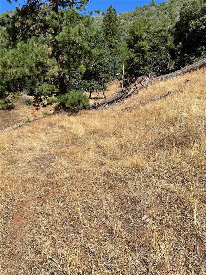 Detail Gallery Image 29 of 44 For 00000 Forrest Rd 1n19, Tuolumne,  CA 95379 - – Beds | – Baths