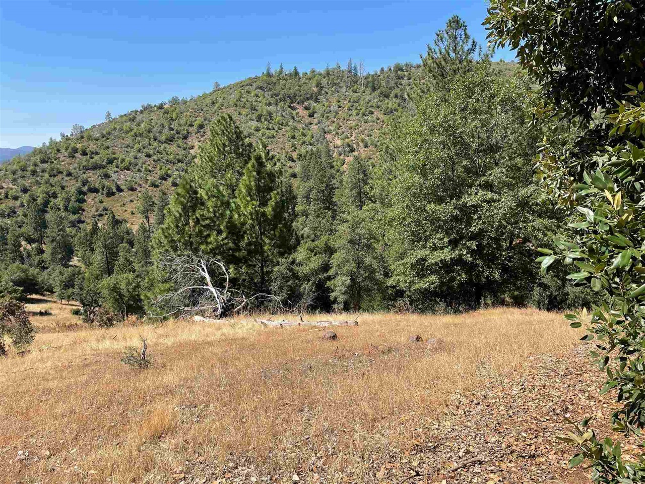 Detail Gallery Image 5 of 44 For 00000 Forrest Rd 1n19, Tuolumne,  CA 95379 - – Beds | – Baths