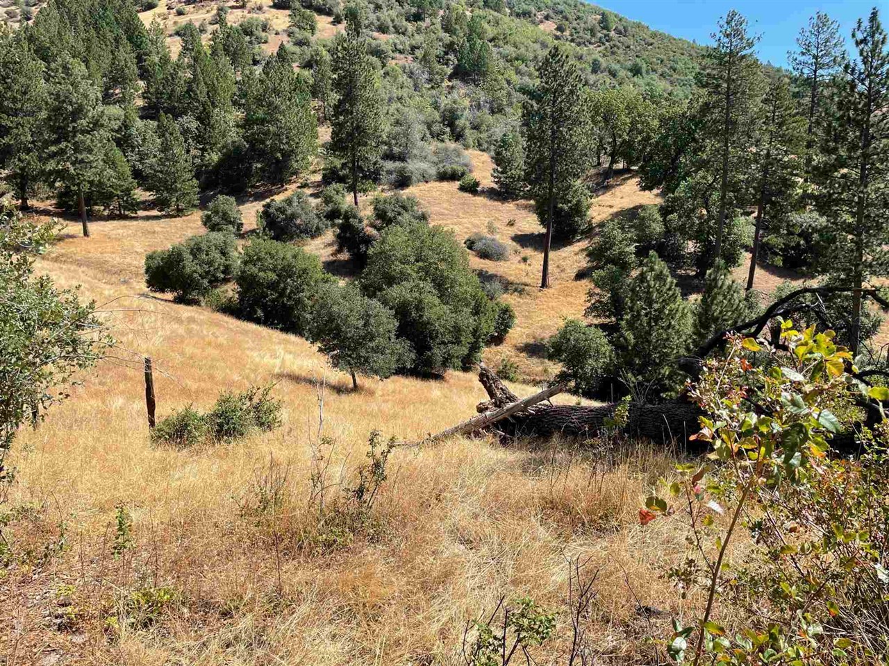 Detail Gallery Image 7 of 44 For 00000 Forrest Rd 1n19, Tuolumne,  CA 95379 - – Beds | – Baths