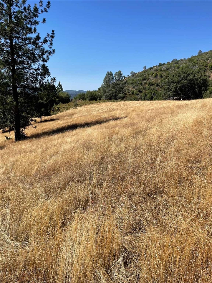 Detail Gallery Image 10 of 44 For 00000 Forrest Rd 1n19, Tuolumne,  CA 95379 - – Beds | – Baths