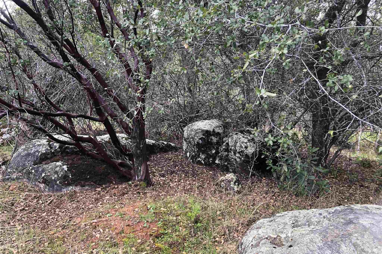 Detail Gallery Image 14 of 33 For Par B2 N Airport, Sonora,  CA 95310 - – Beds | – Baths