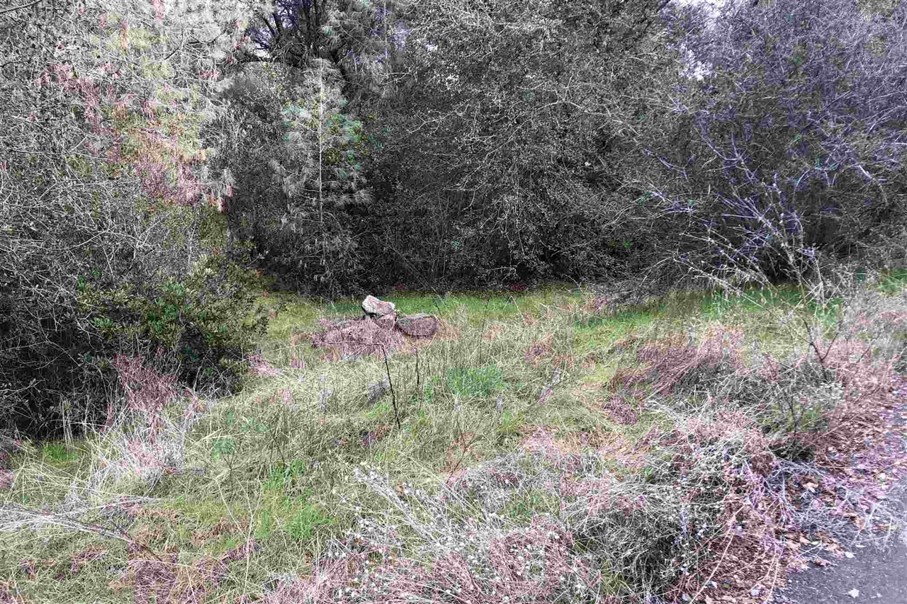 Detail Gallery Image 22 of 33 For Par B2 N Airport, Sonora,  CA 95310 - – Beds | – Baths