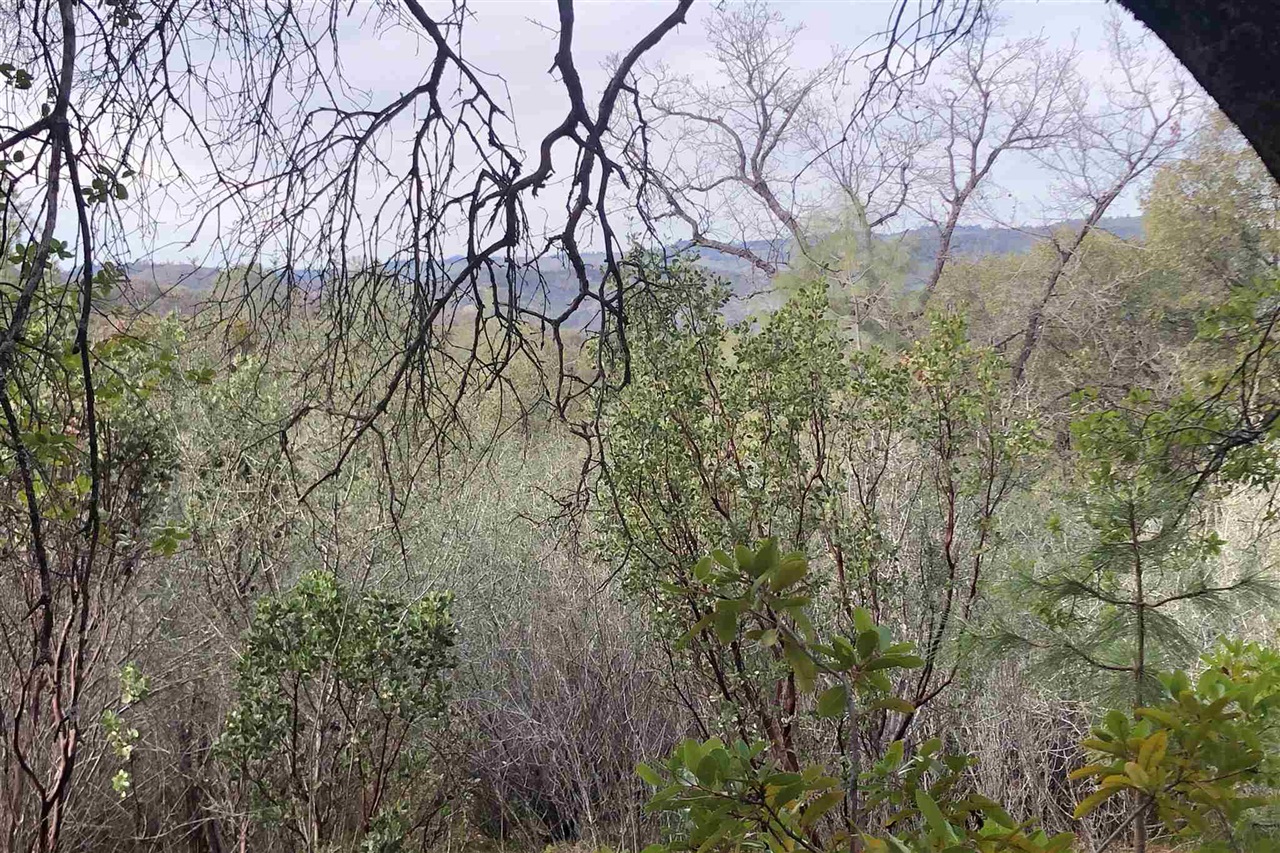 Detail Gallery Image 10 of 33 For Par B2 N Airport, Sonora,  CA 95310 - – Beds | – Baths
