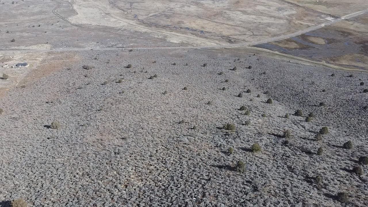 Front Image Thumbnail for EB20240199