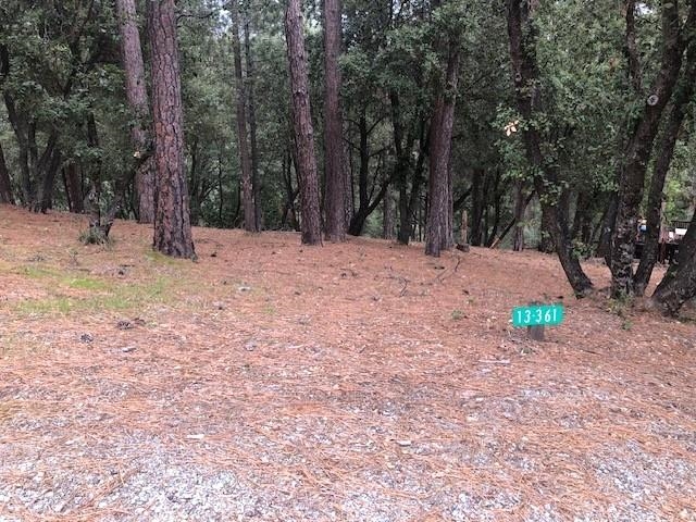 Detail Gallery Image 1 of 1 For 12301 Tower Peak, Groveland,  CA 95321 - – Beds | – Baths