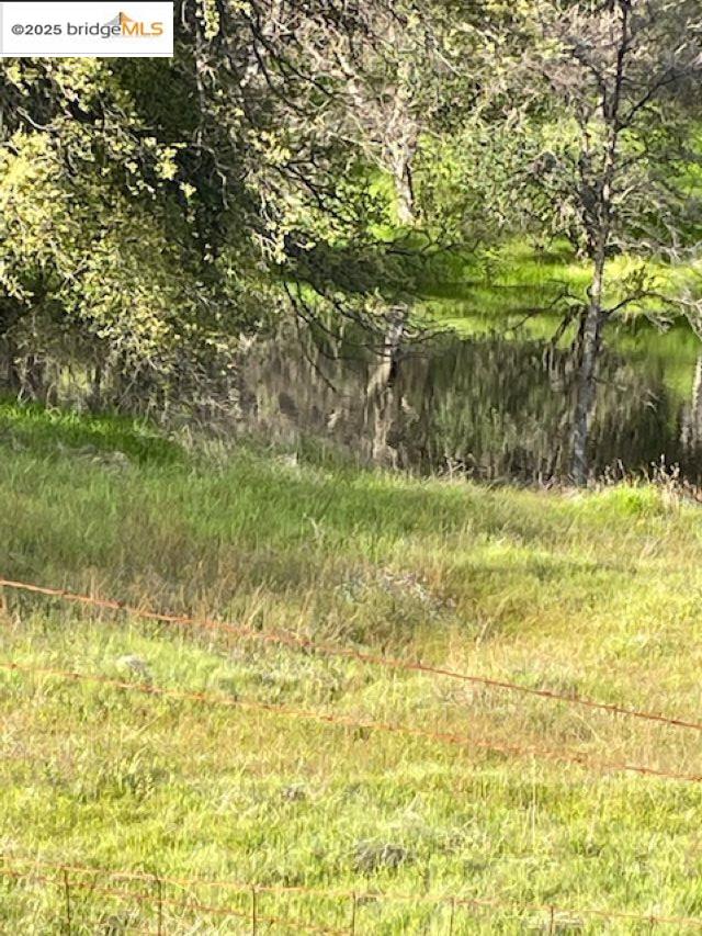 10404 State Highway 49, Coulterville CA 95311 — photo 2
