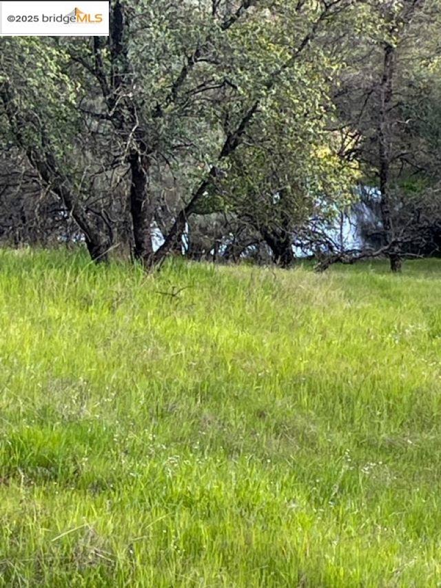 10404 State Highway 49, Coulterville CA 95311 — photo 7