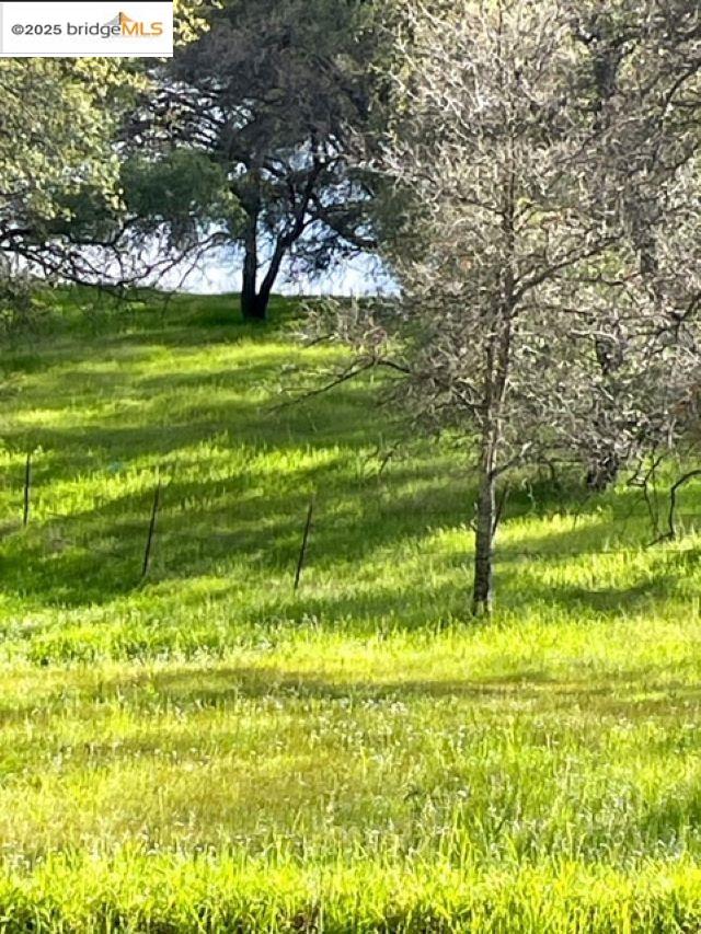 10404 State Highway 49, Coulterville CA 95311 — photo 9