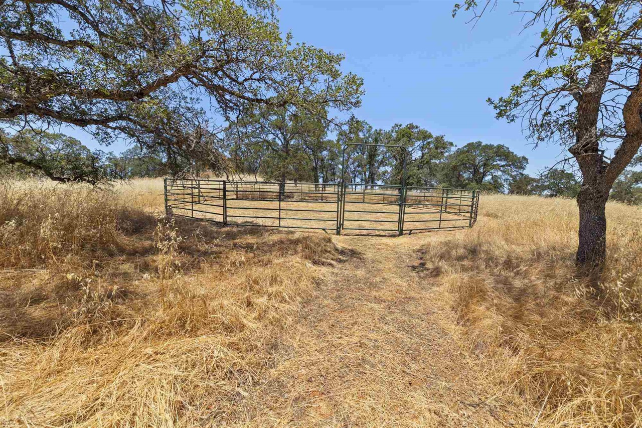 Detail Gallery Image 36 of 60 For 10050 Big Creek, Jamestown,  CA 95327 - – Beds | – Baths
