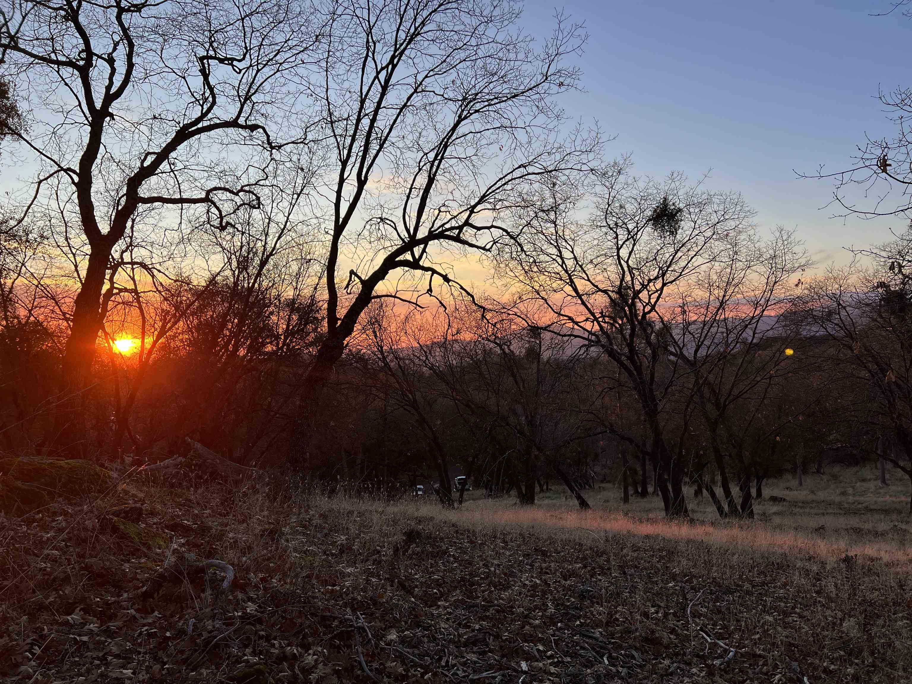 Front Image Thumbnail for EB20240892