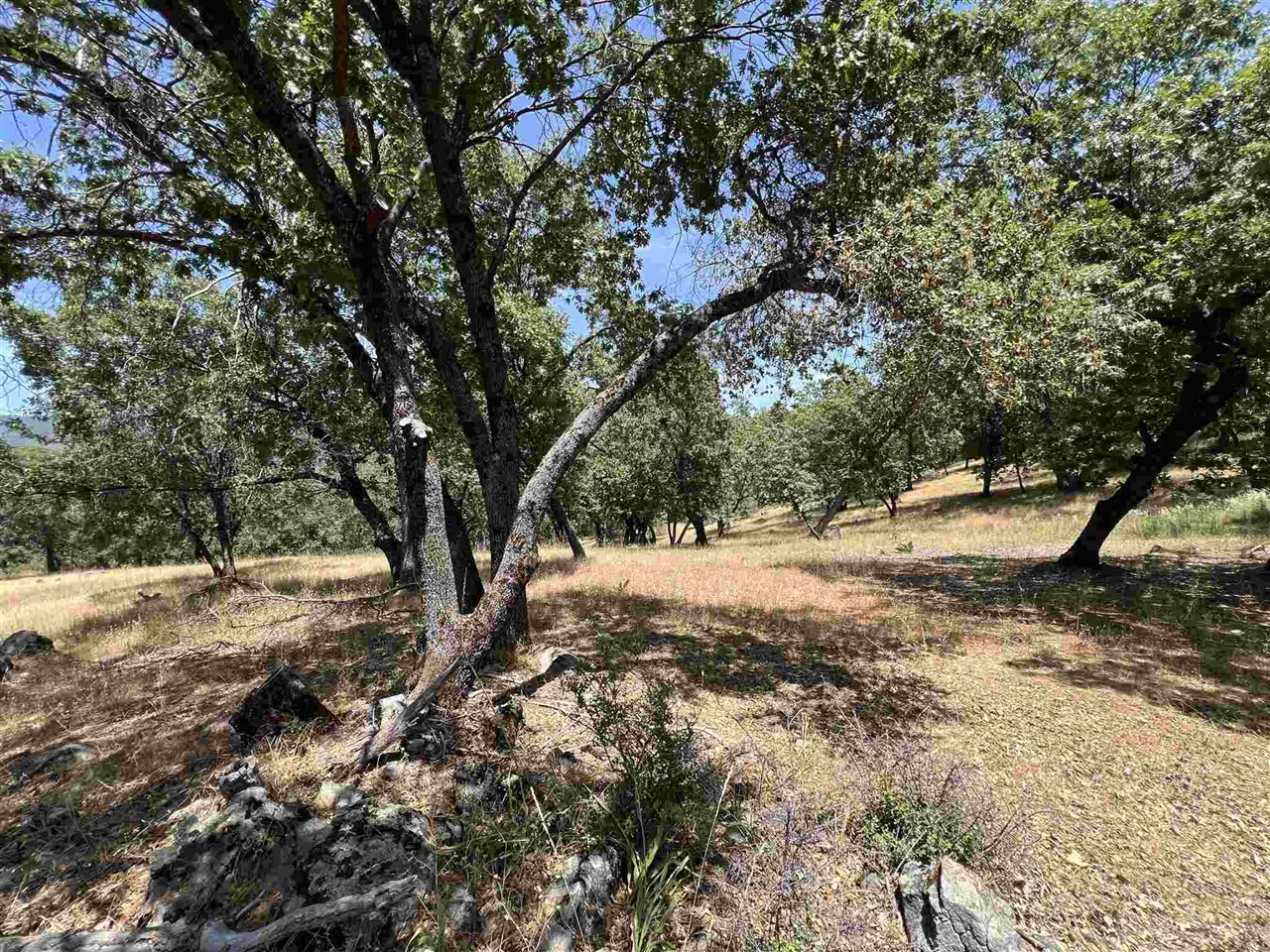Detail Gallery Image 11 of 50 For 0 Parkridge, Sonora,  CA 95370 - – Beds | – Baths