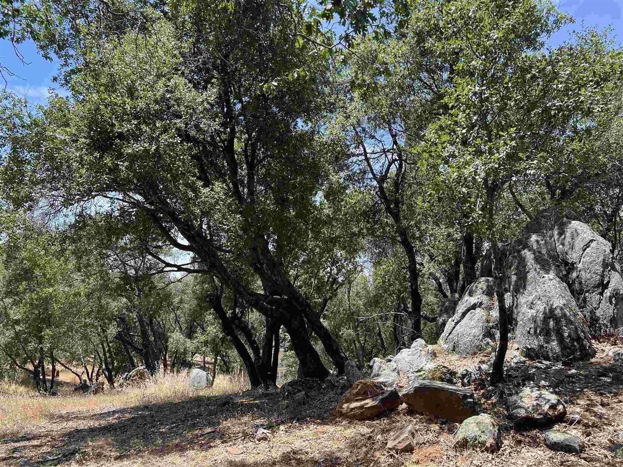 Detail Gallery Image 12 of 50 For 0 Parkridge, Sonora,  CA 95370 - – Beds | – Baths