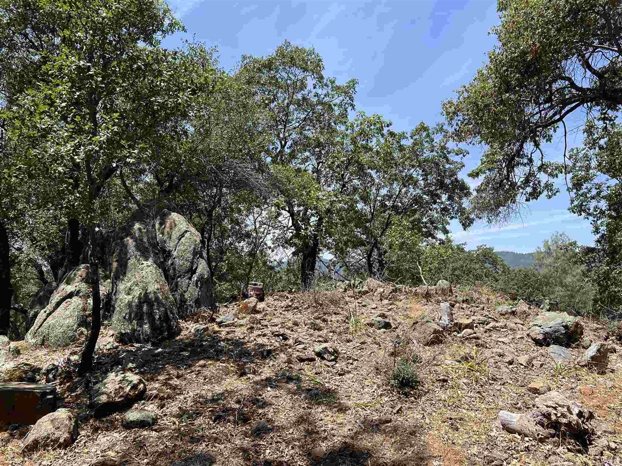 Detail Gallery Image 13 of 50 For 0 Parkridge, Sonora,  CA 95370 - – Beds | – Baths