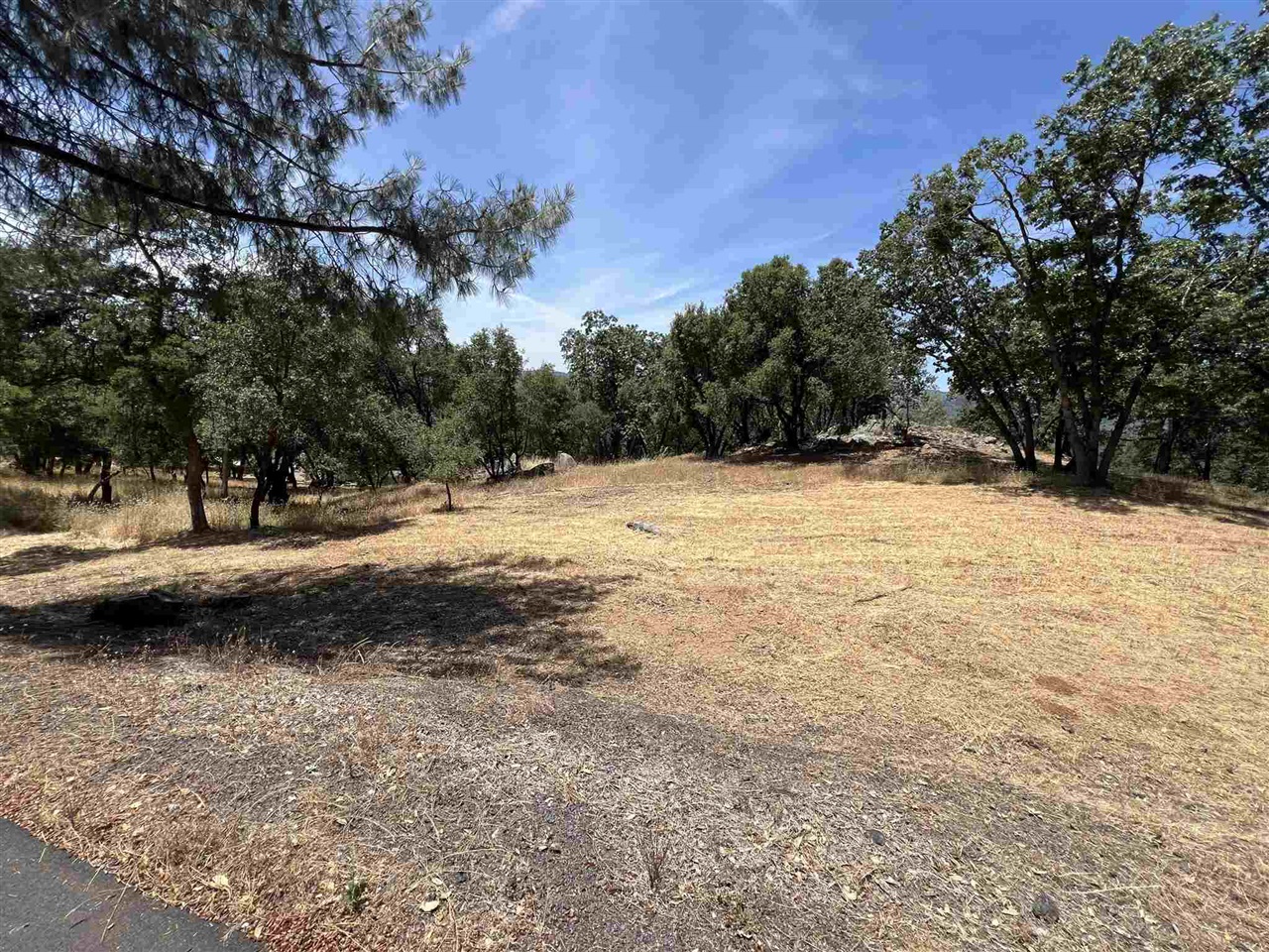 Detail Gallery Image 3 of 50 For 0 Parkridge, Sonora,  CA 95370 - – Beds | – Baths