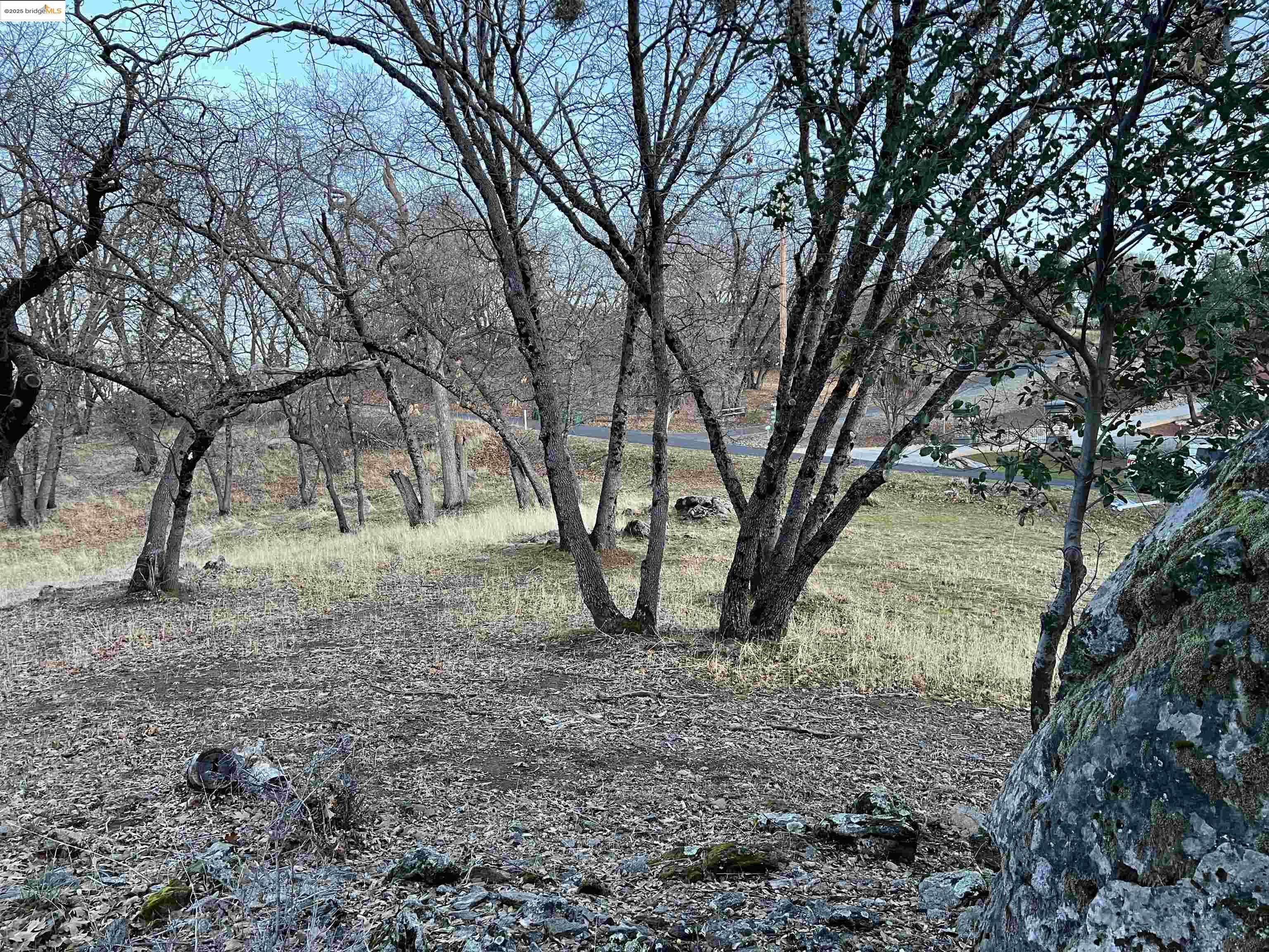 Detail Gallery Image 25 of 50 For 0 Parkridge, Sonora,  CA 95370 - – Beds | – Baths