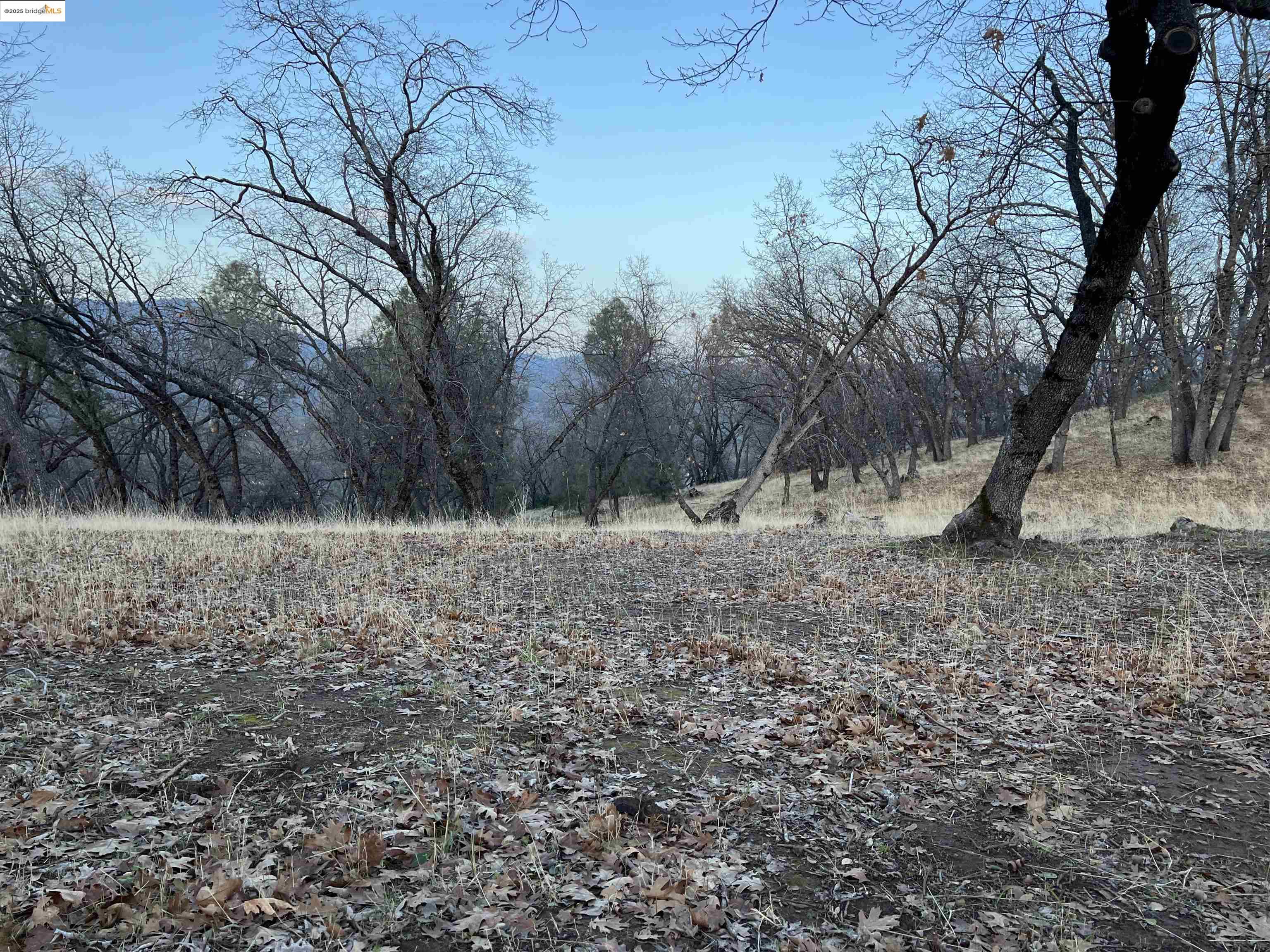 Detail Gallery Image 29 of 50 For 0 Parkridge, Sonora,  CA 95370 - – Beds | – Baths