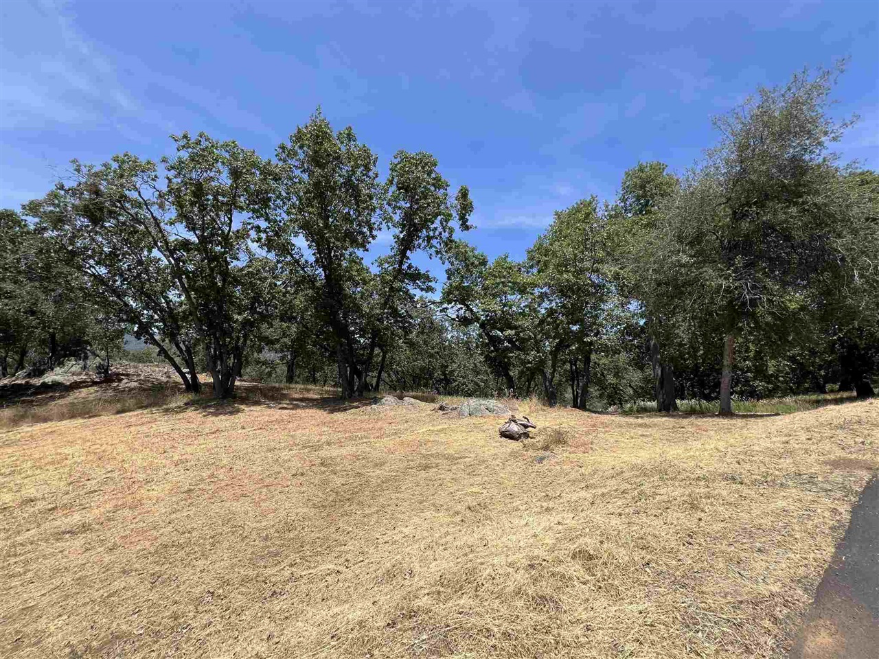 Detail Gallery Image 4 of 50 For 0 Parkridge, Sonora,  CA 95370 - – Beds | – Baths