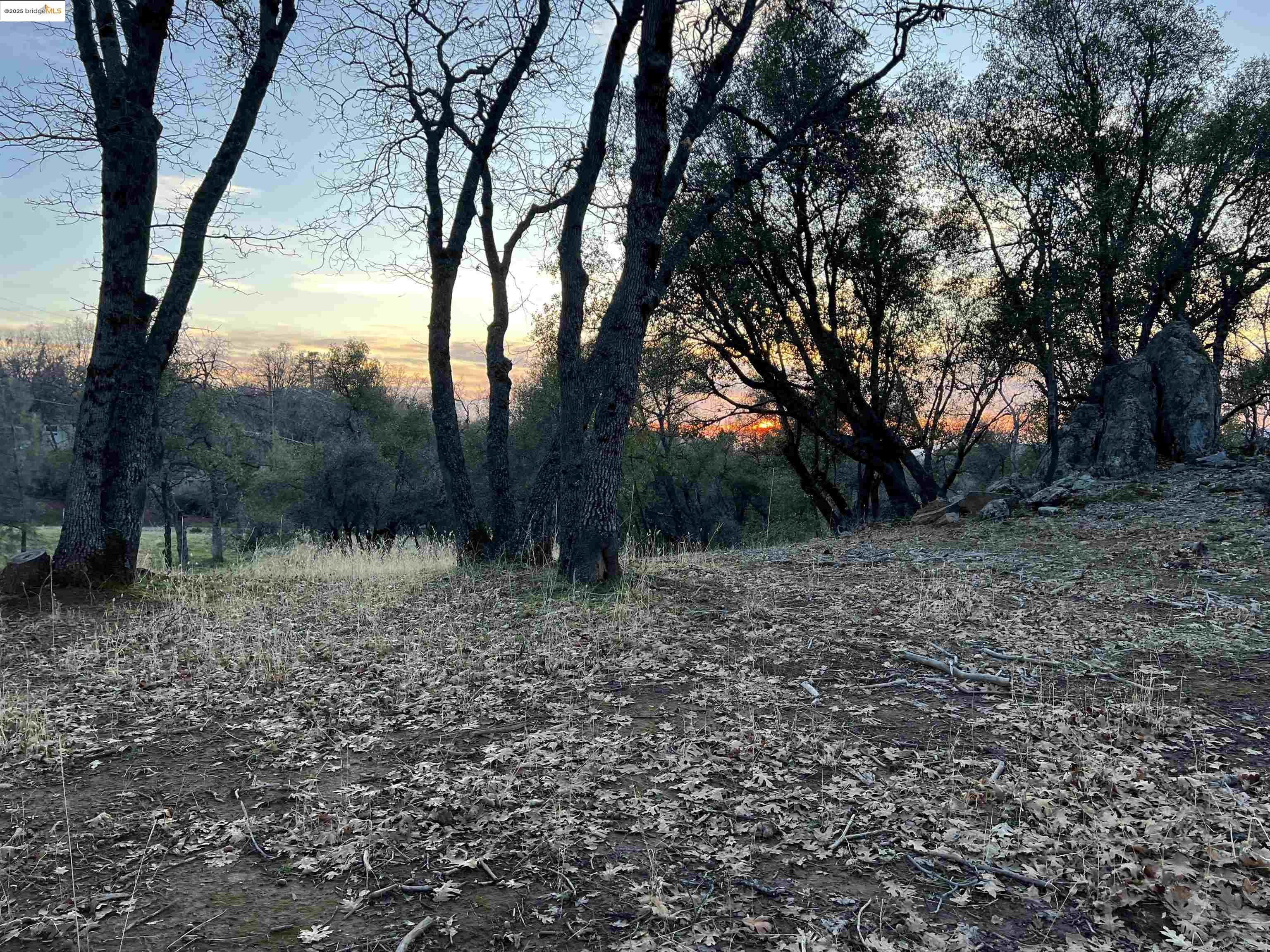 Detail Gallery Image 32 of 50 For 0 Parkridge, Sonora,  CA 95370 - – Beds | – Baths