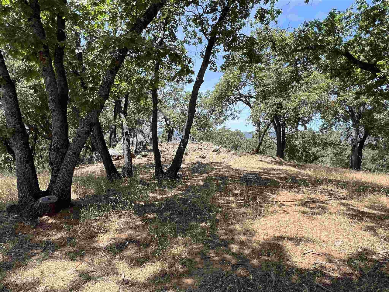 Detail Gallery Image 7 of 50 For 0 Parkridge, Sonora,  CA 95370 - – Beds | – Baths