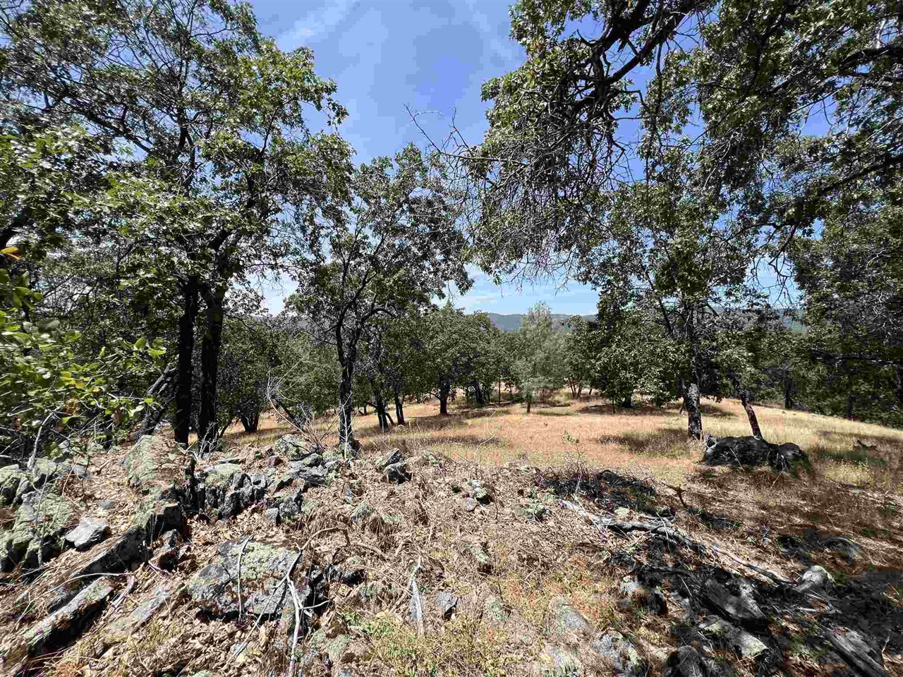 Detail Gallery Image 8 of 50 For 0 Parkridge, Sonora,  CA 95370 - – Beds | – Baths