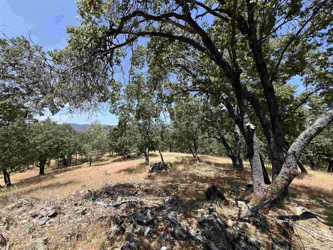 Detail Gallery Image 10 of 50 For 0 Parkridge, Sonora,  CA 95370 - – Beds | – Baths