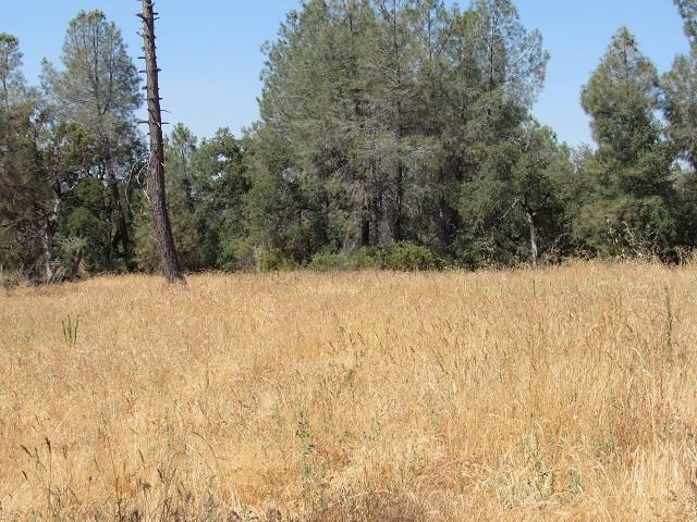Detail Gallery Image 11 of 13 For 00000 Lot 002 Italian Bar Rd., Columbia,  CA 95310 - – Beds | – Baths