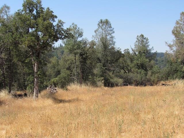 Detail Gallery Image 12 of 13 For 00000 Lot 002 Italian Bar Rd., Columbia,  CA 95310 - – Beds | – Baths