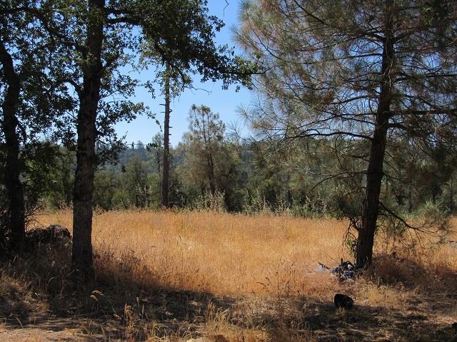 Detail Gallery Image 5 of 13 For 00000 Lot 002 Italian Bar Rd., Columbia,  CA 95310 - – Beds | – Baths