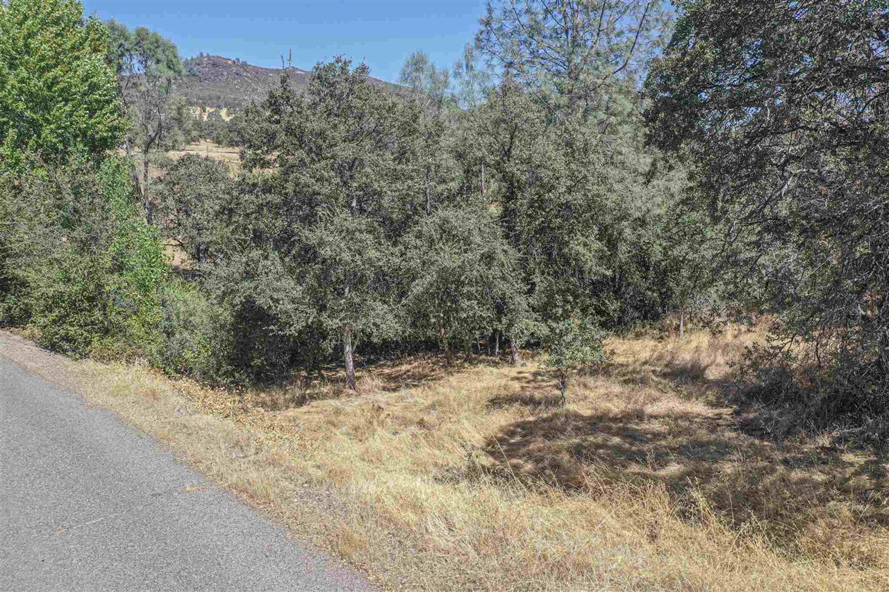 Detail Gallery Image 10 of 21 For 10396 Chapulin, La Grange,  CA 95311 - – Beds | – Baths