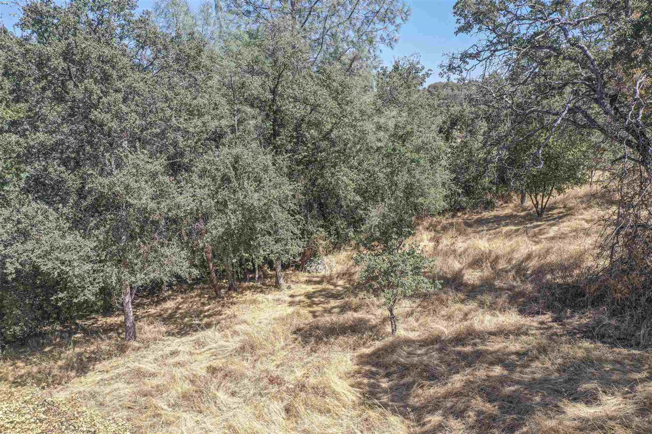 Detail Gallery Image 6 of 21 For 10396 Chapulin, La Grange,  CA 95311 - – Beds | – Baths