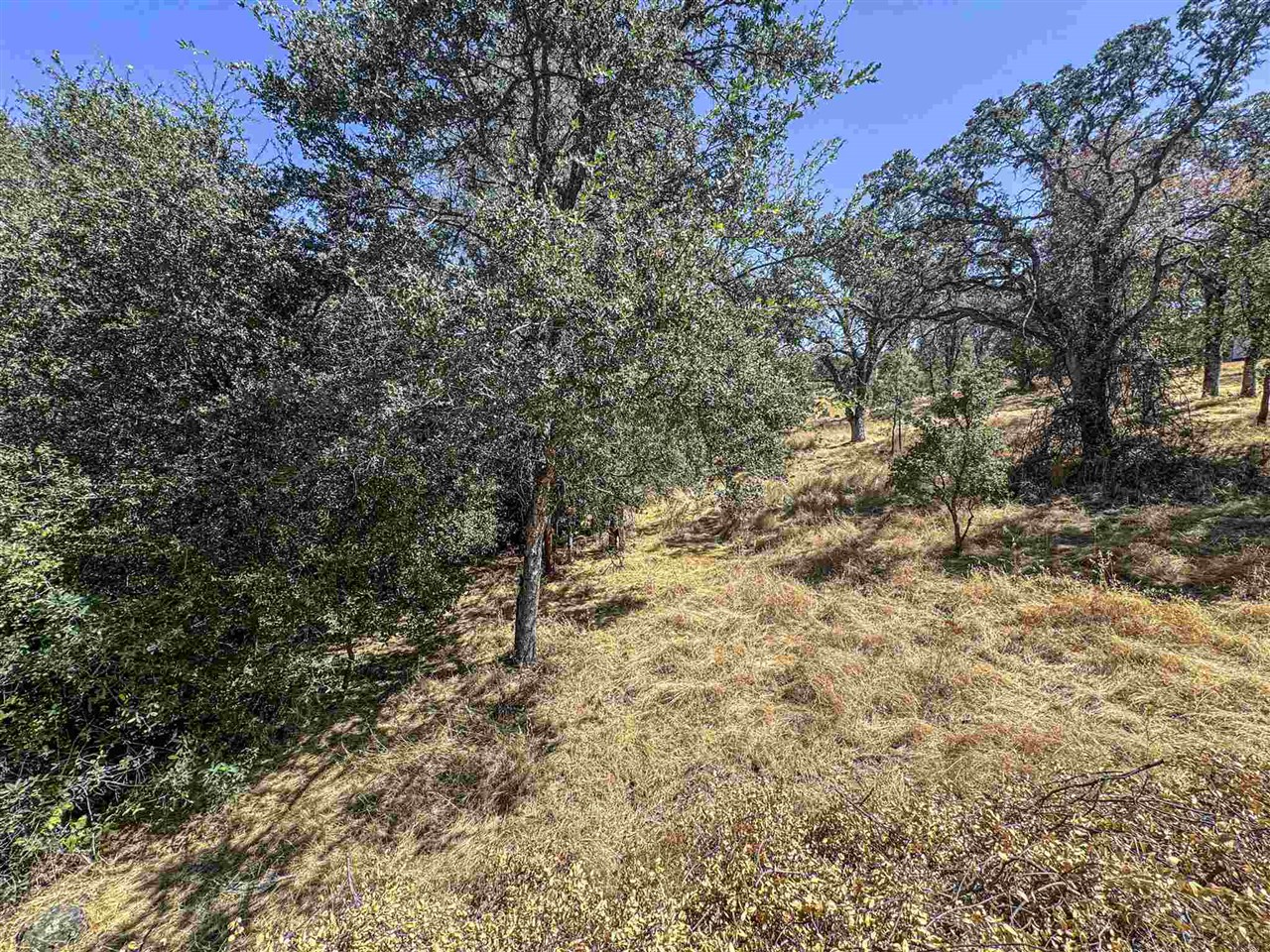 Detail Gallery Image 7 of 21 For 10396 Chapulin, La Grange,  CA 95311 - – Beds | – Baths