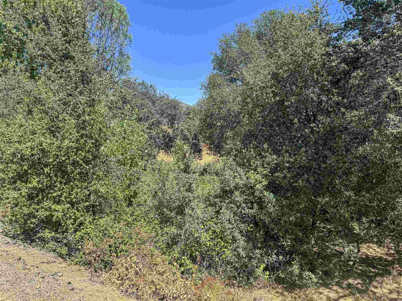 Detail Gallery Image 8 of 21 For 10396 Chapulin, La Grange,  CA 95311 - – Beds | – Baths