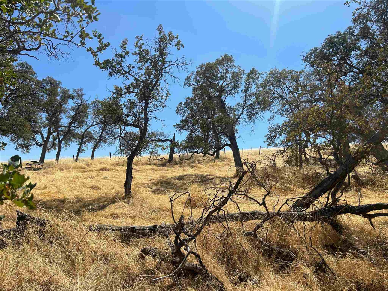 Detail Gallery Image 1 of 6 For 5102 Fong, Copperopolis,  CA 95228 - – Beds | – Baths