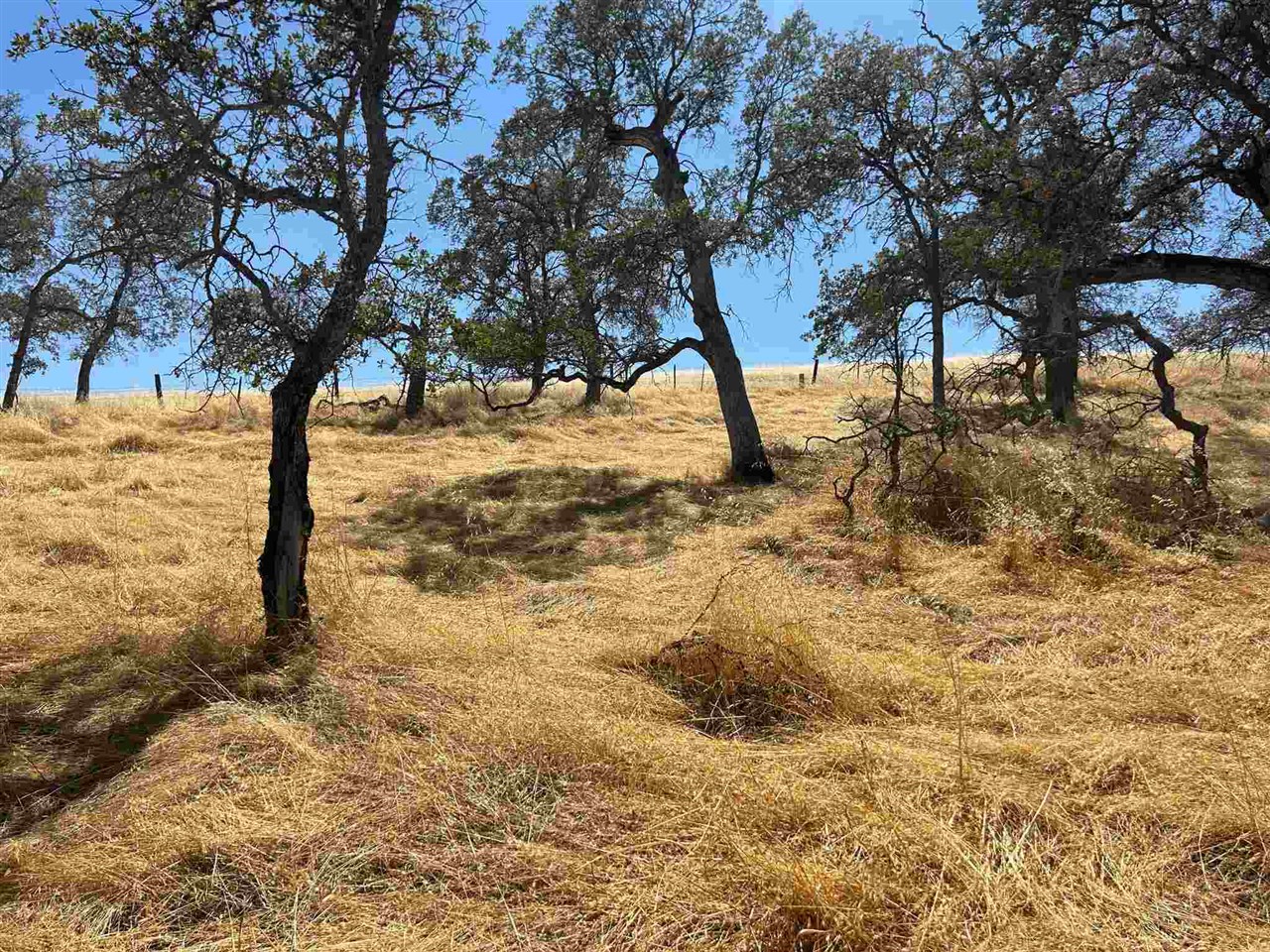 Detail Gallery Image 3 of 6 For 5102 Fong, Copperopolis,  CA 95228 - – Beds | – Baths