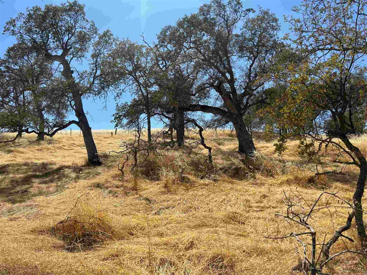 Detail Gallery Image 5 of 6 For 5102 Fong, Copperopolis,  CA 95228 - – Beds | – Baths