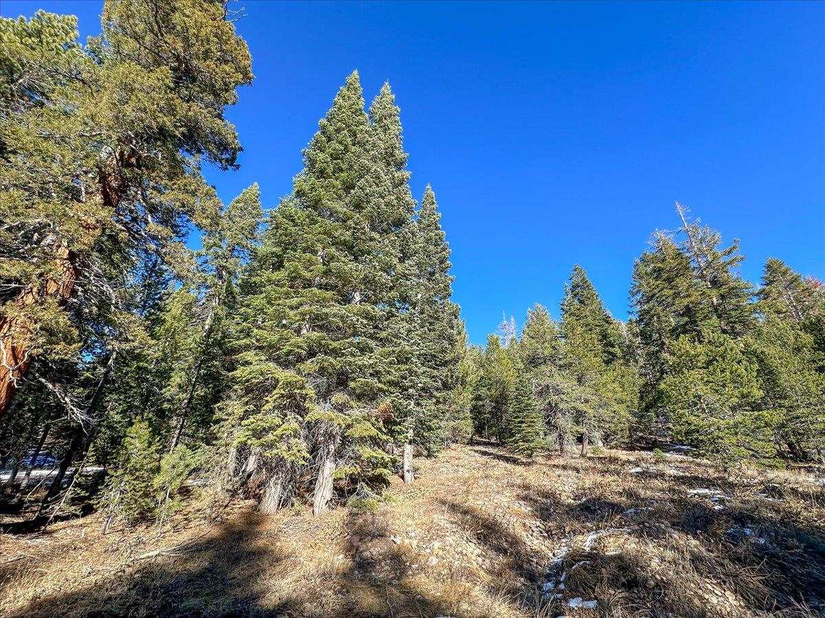 Detail Gallery Image 2 of 15 For 5n01 Eagle Meadow Rd, Strawberry,  CA 95375 - – Beds | – Baths