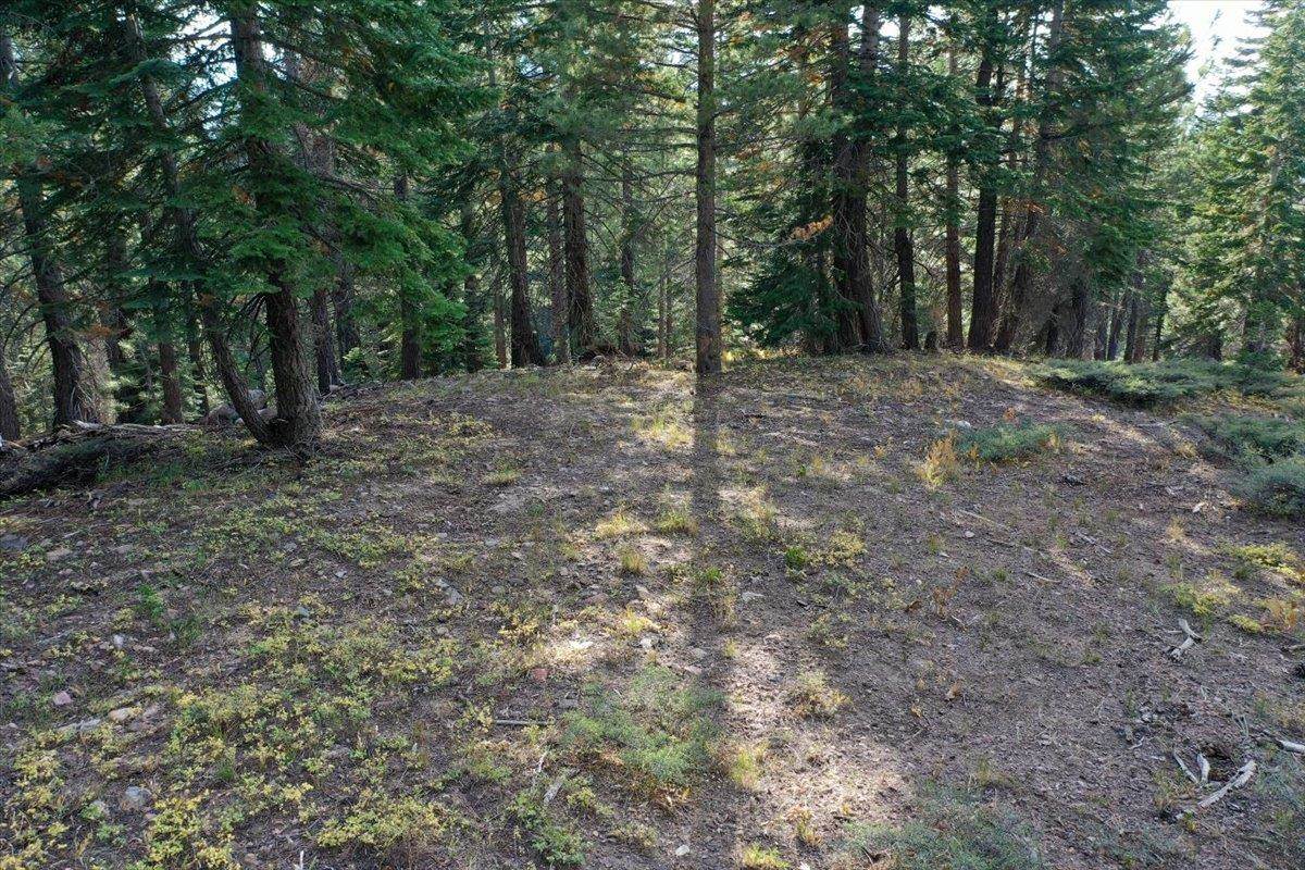 Detail Gallery Image 4 of 15 For 5n01 Eagle Meadow Rd, Strawberry,  CA 95375 - – Beds | – Baths