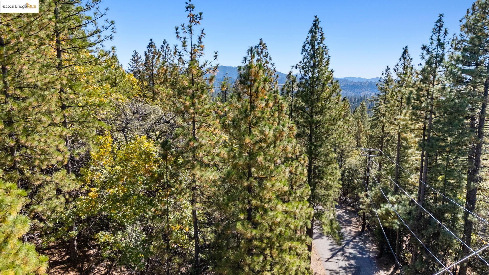 Detail Gallery Image 17 of 19 For 0001 Stable, Sonora,  CA 95370 - – Beds | – Baths